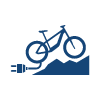 Icon E-Mountainbike